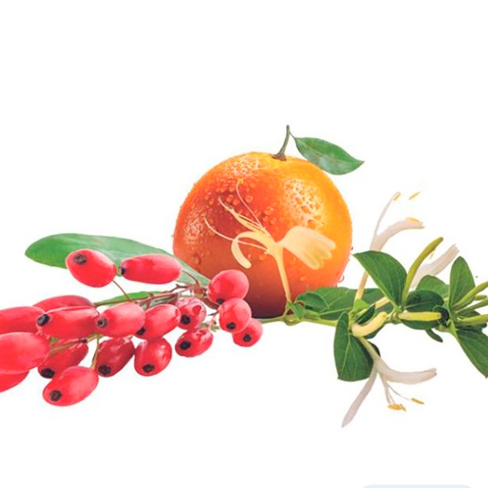 Аромат для лампи Maison Berger Paris GOJI BERRIES, 500 мл