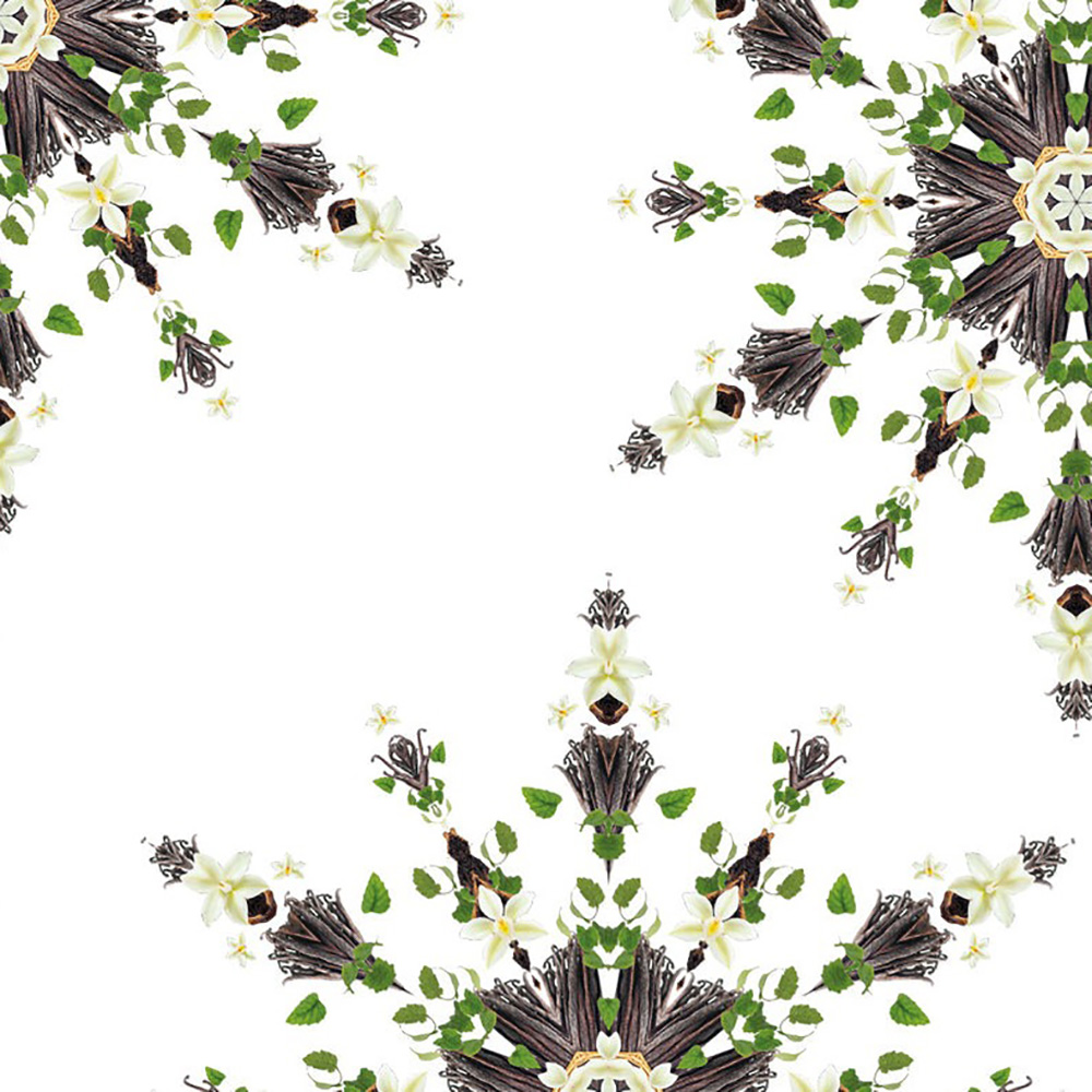 Аромат для лампи Maison Berger Paris VANILLA MAGNIFICENCE, 500 мл