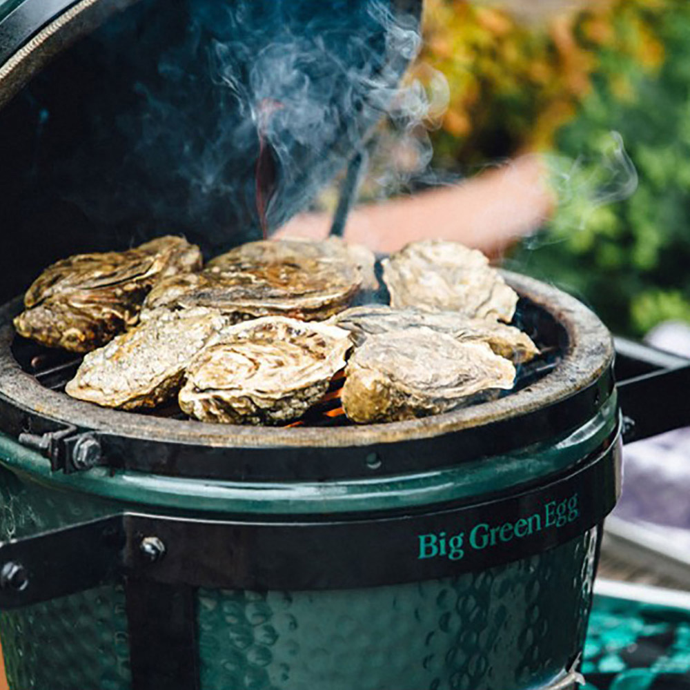 Гриль угольный Big Green Egg Mini, керамический