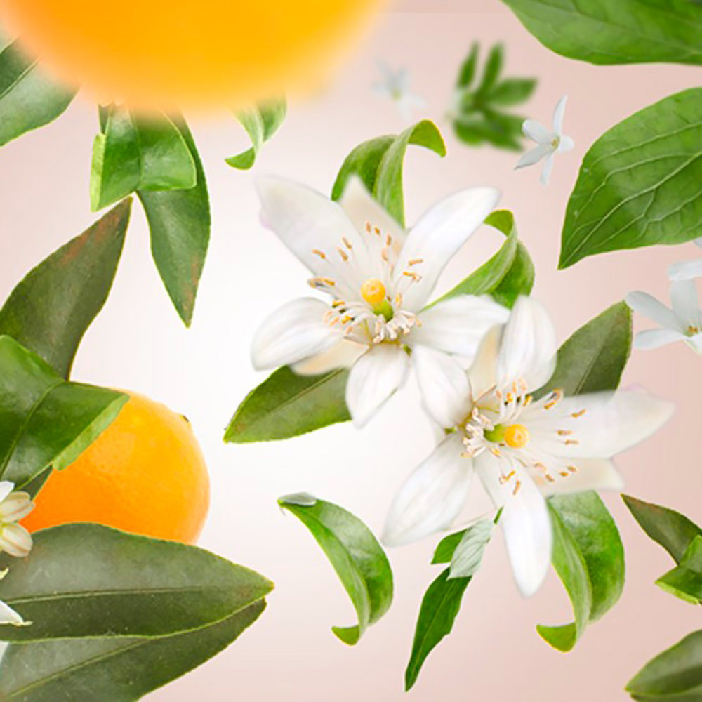 Аромалампа Maison Berger Paris LILLY NUDE, 310 мл + Наповнювач з ароматом ORANGE BLOSSOM, 250 мл