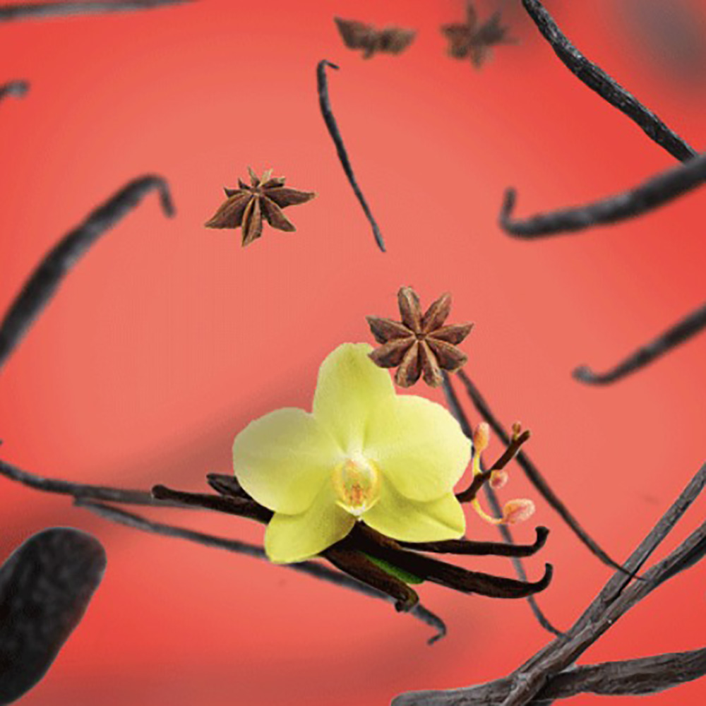 Аромат для дифузора Maison Berger Paris VANILLA GOURMET, 200 мл