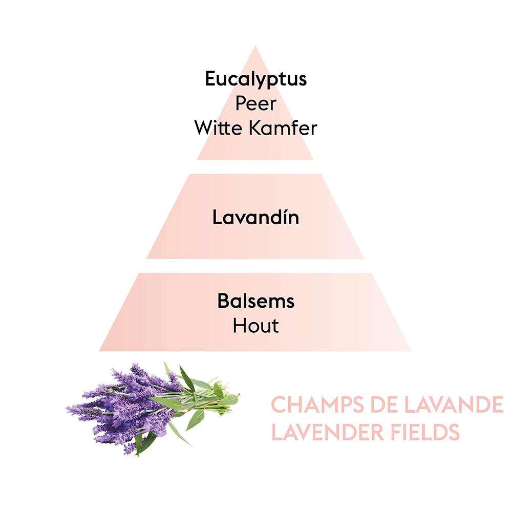 Аромат для диффузора Maison Berger Paris LAVENDER FIELDS, 200 мл