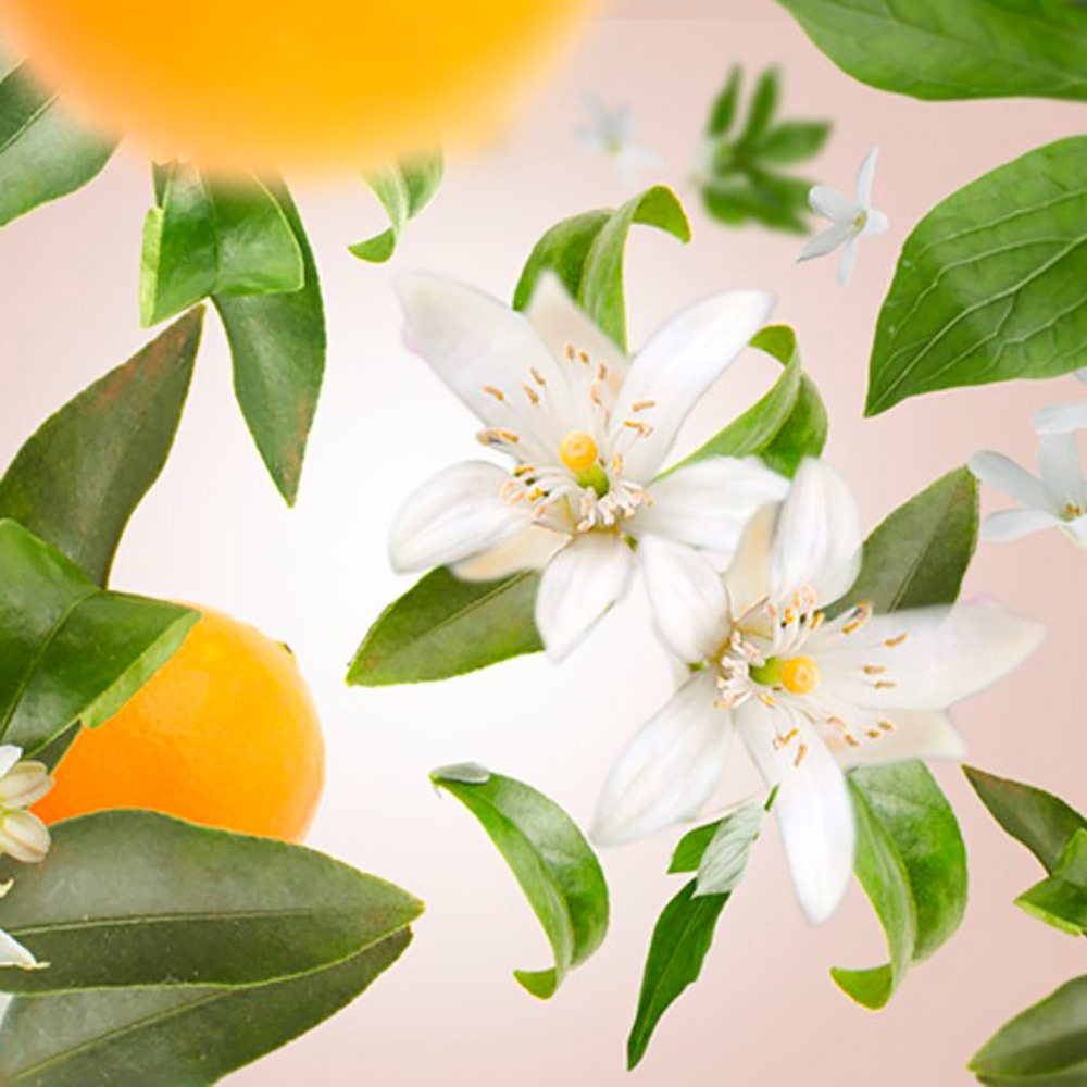 Аромат для диффузора Maison Berger Paris ORANGE BLOSSOM, 200 мл