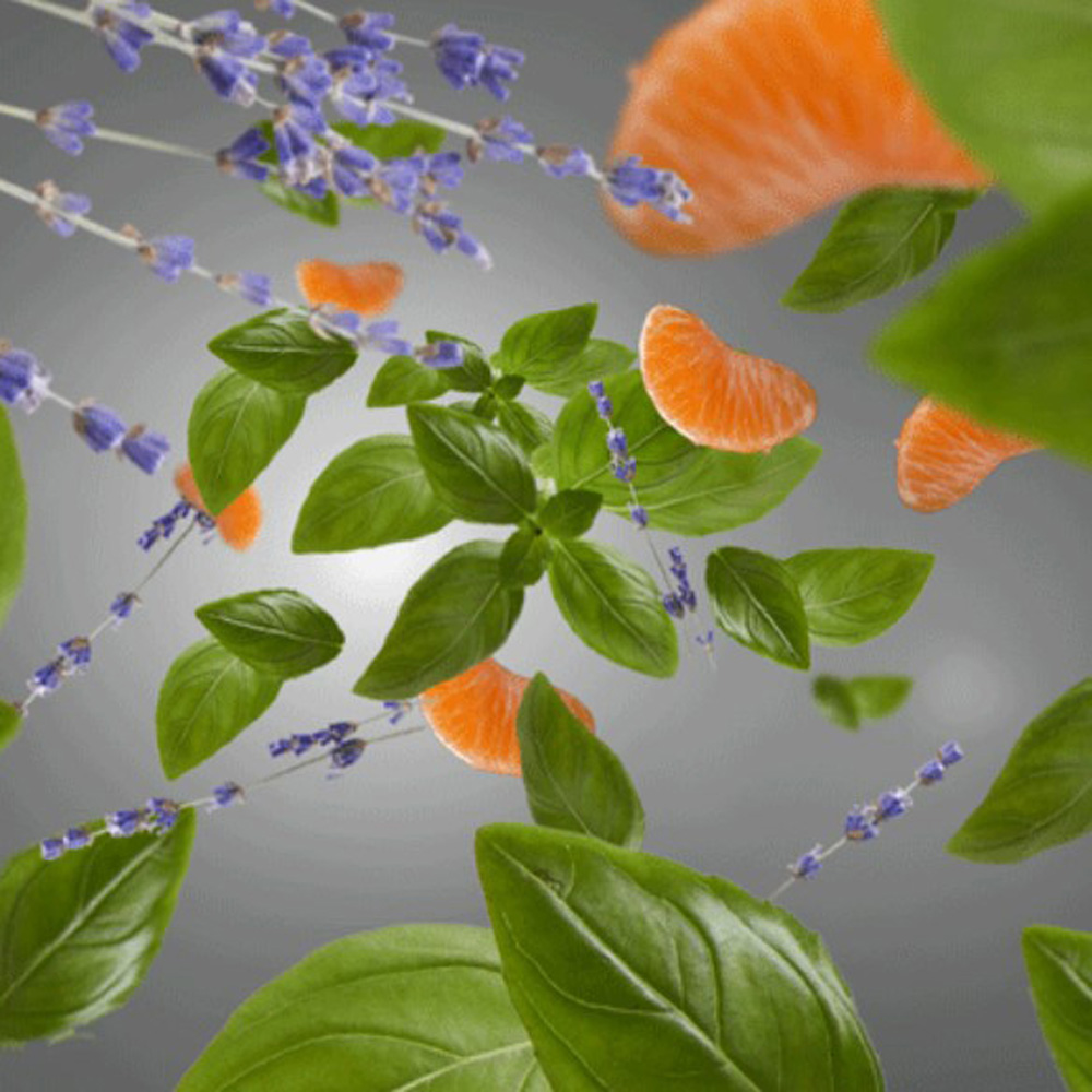 Аромат для диффузора Maison Berger Paris ANTI-KITCHEN FRESH & FLORAL, 200 мл