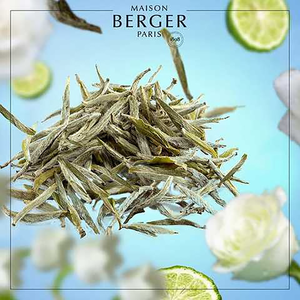 Аромат для диффузора Maison Berger Paris PURE WHITE TEA, 200 мл