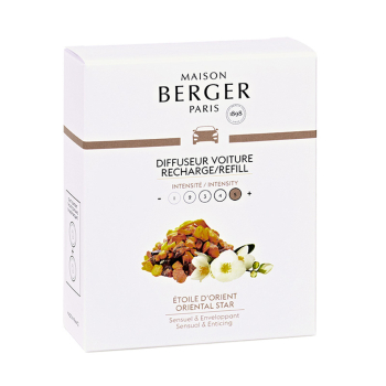 Картридж для диффузора для автомобиля Maison Berger Paris с ароматом ORIENTAL STAR, 2 шт.