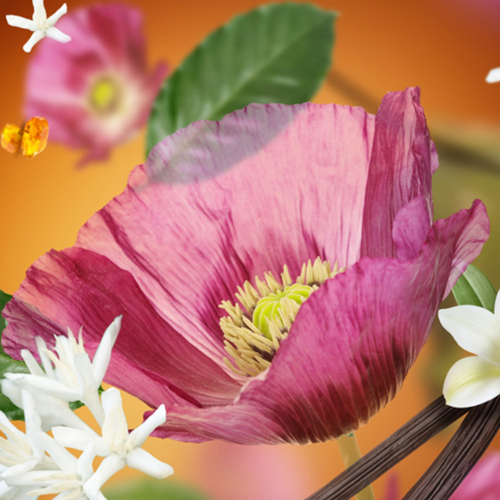 Аромат для дифузора Maison Berger Paris VELVET OF ORIENT, 200 мл