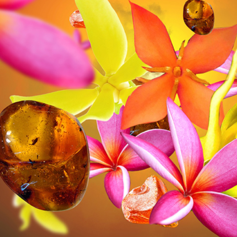 Картридж для диффузора для автомобиля Maison Berger Paris с ароматом AMBER'S SUN, 2 шт.