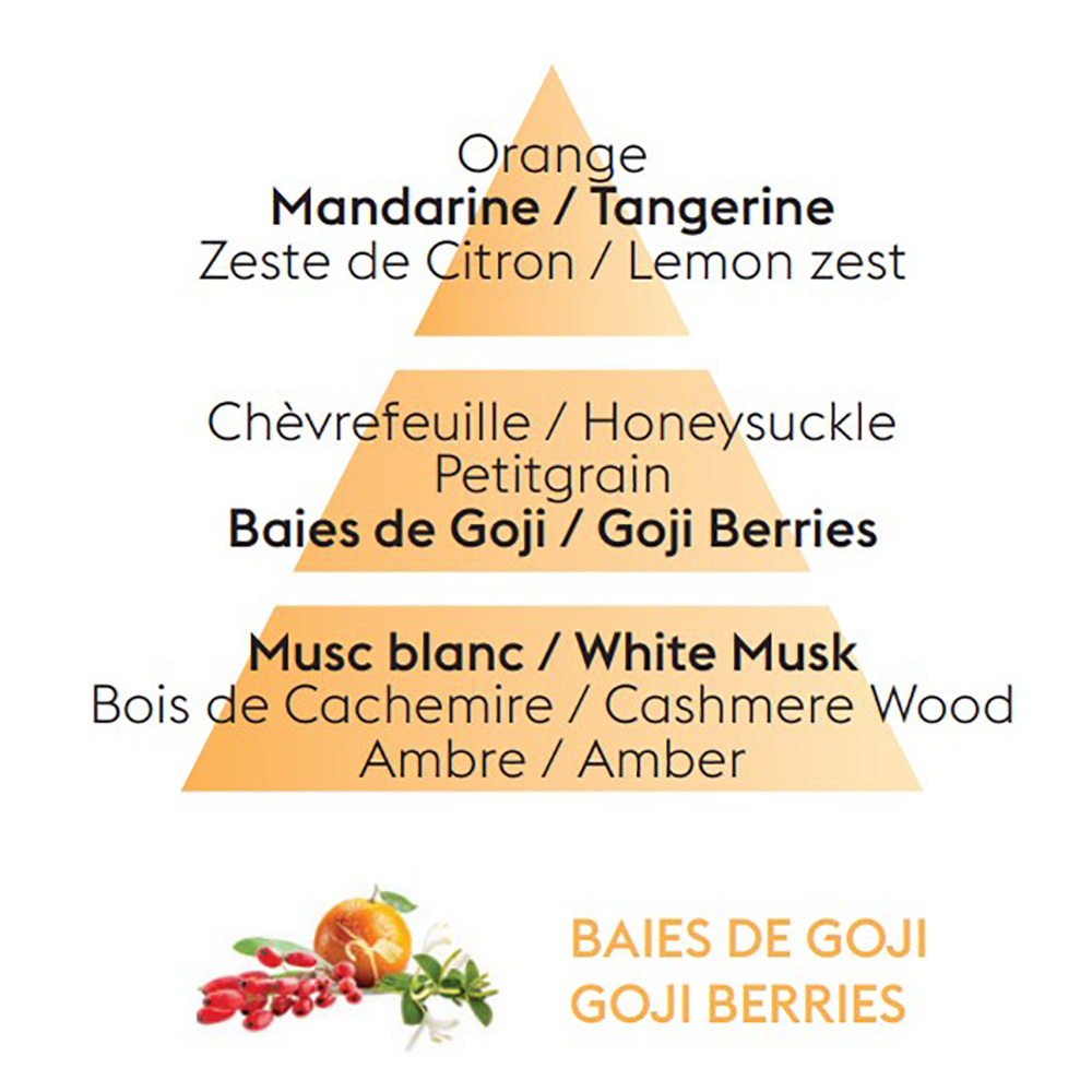 Аромат для дифузора Maison Berger Paris GOJI BERRIES, 200 мл