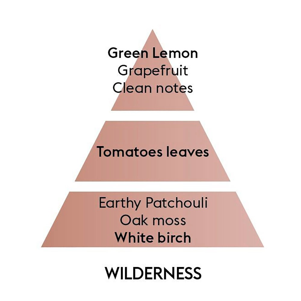 Диффузор для автівки Maison Berger Paris с ароматом WILDERNESS