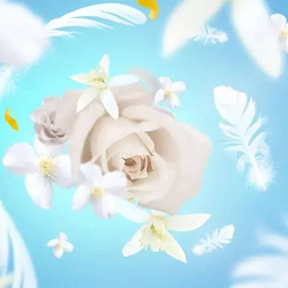 Аромат для диффузора Maison Berger Paris DELICATE WHITE MUSK, 200 мл