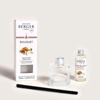 Диффузор Maison Berger Paris ICE CUBE с ароматом ORIENTAL STAR, 100 мл