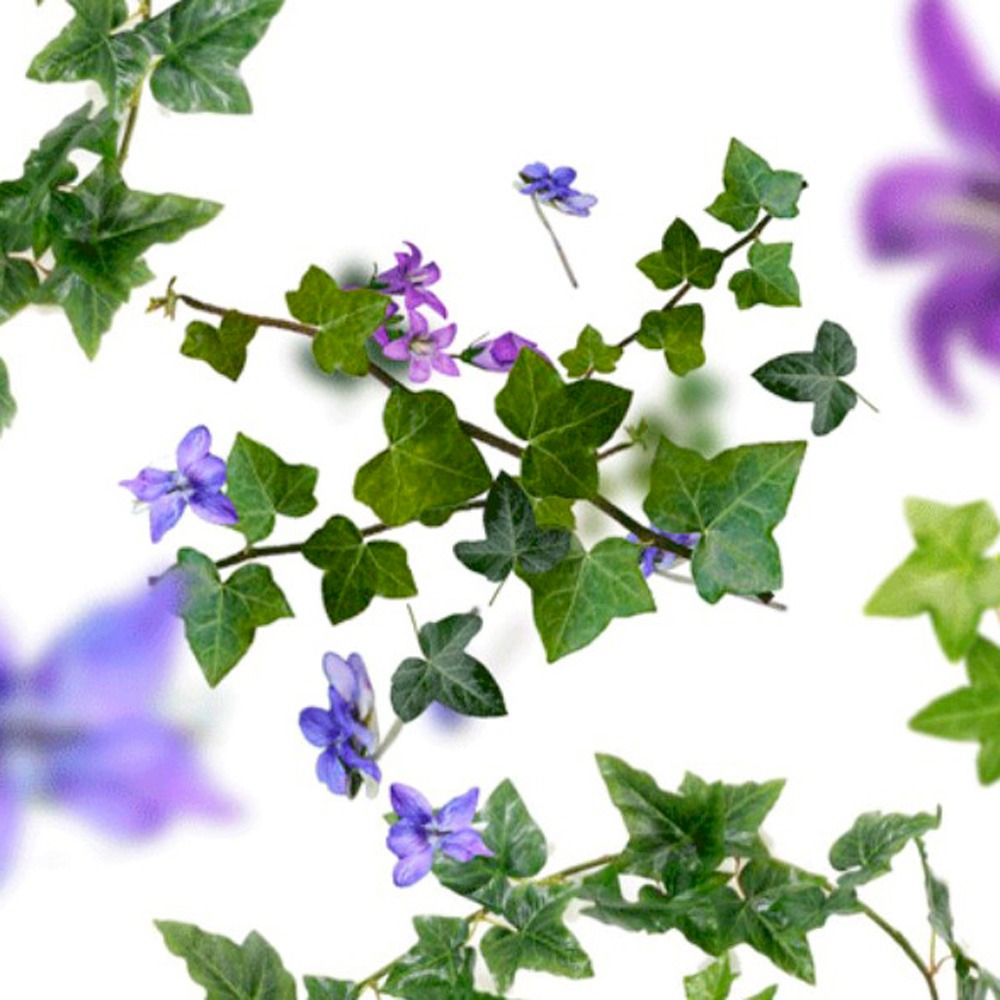 Набір Maison Berger Paris: дифузор LOLITA LEMPICKA прозорий, 100 мл + Наповнювач з ароматом LOLITA LEMPICKA, 90 мл та спрей з ароматом LOLITA LEMPICKA, 50 мл