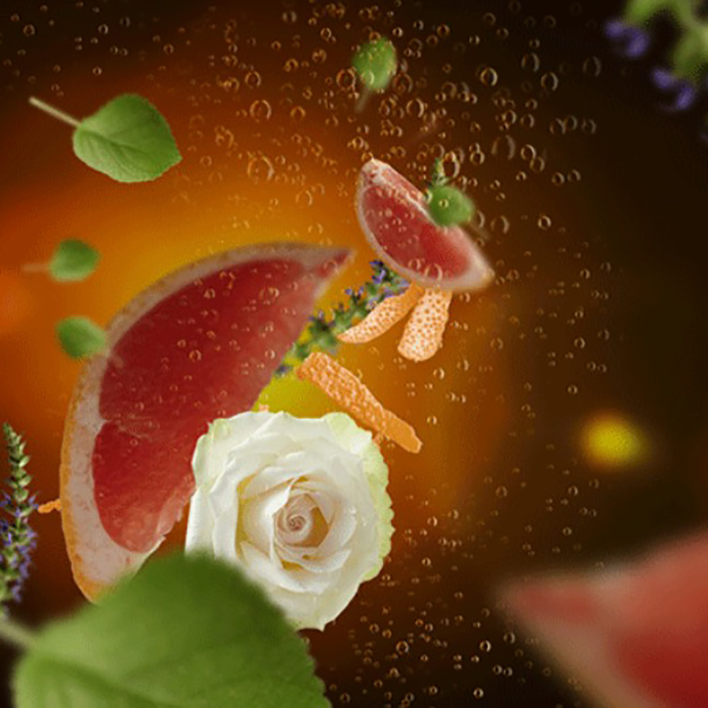 Диффузор для автівки Maison Berger Paris с ароматом EXQUISITE SPARKLE