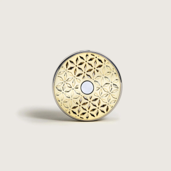 Диффузор для автомобиля Maison Berger Paris POMELIS с ароматом VANILLA MAGNIFICENCE