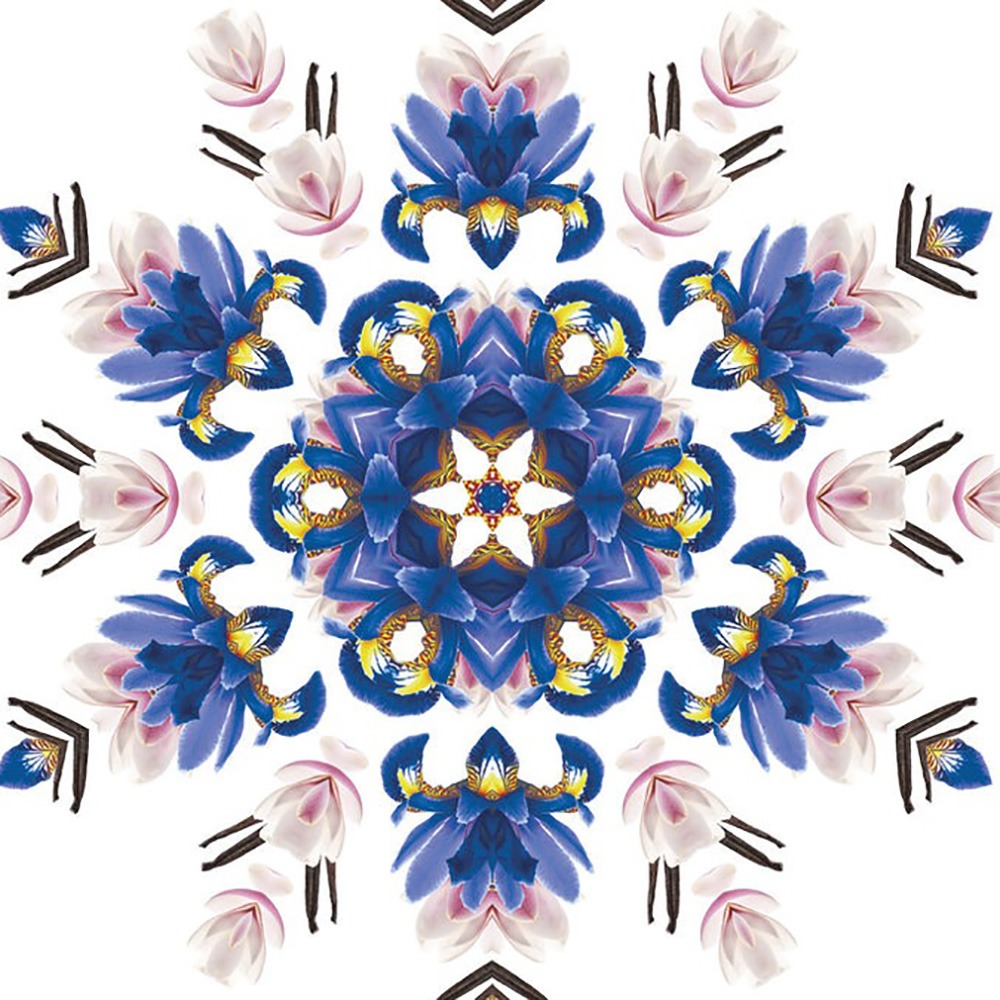 Диффузор для автомобиля Maison Berger Paris CAR WHEEL с ароматом LILIFLORA