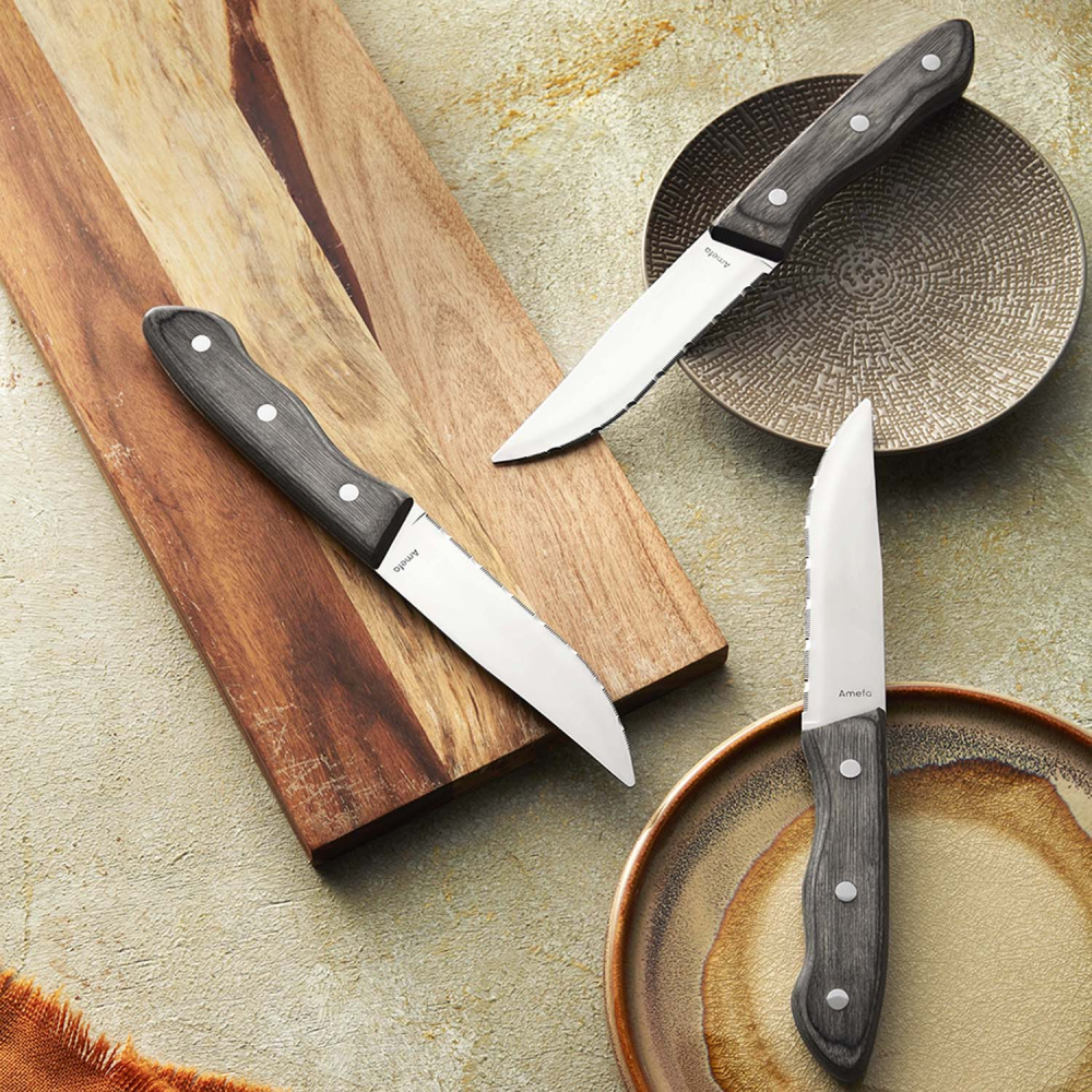 Набор ножей для стейка Amefa HERCULE, 3 пр.