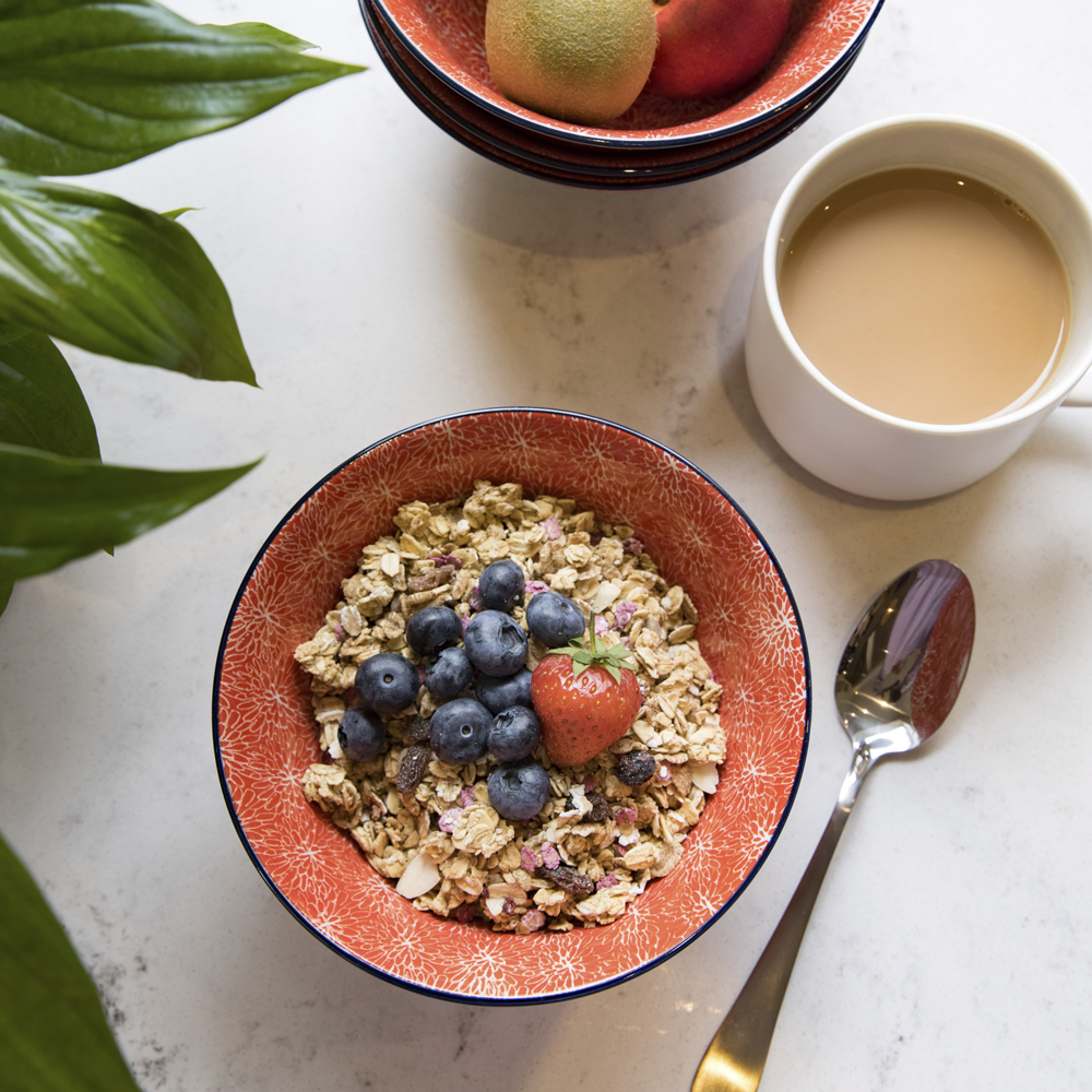 Миска Kitchen Craft RED FLORAL, керамика, диам. 16 см, 500 мл